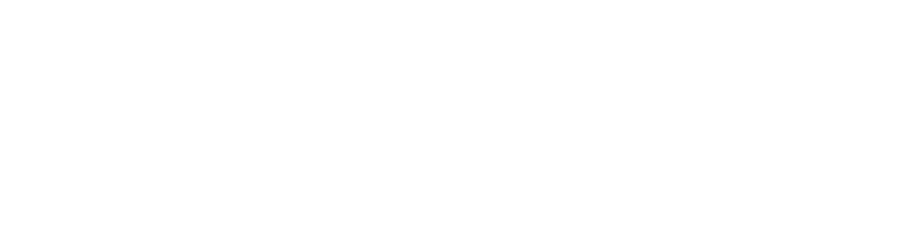 IDi-Logo-Master-RGB-White.png
